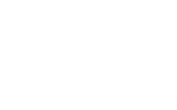 Paladin Brewing logo
